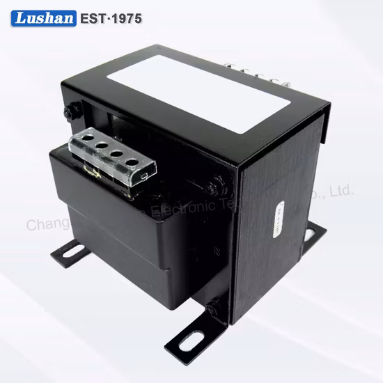 Eingang 220 V, Ausgang 48 V, 1 A, linearer Niederfrequenz-Leistungstransformator für Heimanwendungen